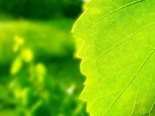 380653 (a): :1600x1200